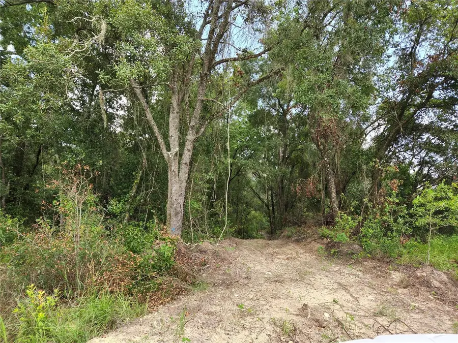 17454 Us 41, Spring Hill, FL 34610 - Image #2