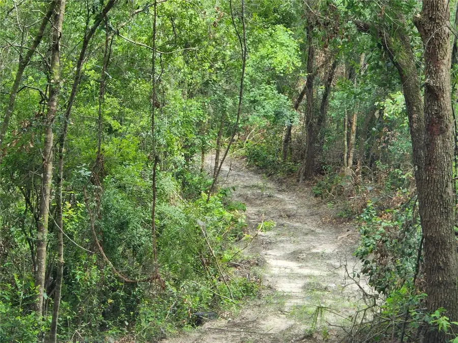 17454 Us 41, Spring Hill, FL 34610 - Image #3