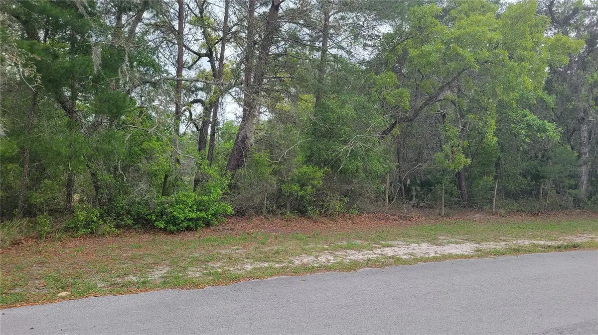 Rabbit Drive, New Port Richey, FL 34654 - Image #1