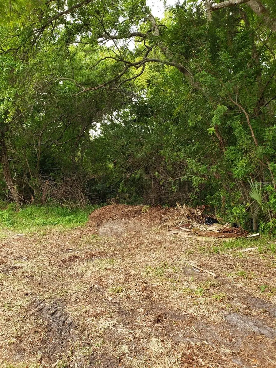 Grosse Avenue, Tarpon Springs, FL 34689 - Image #2