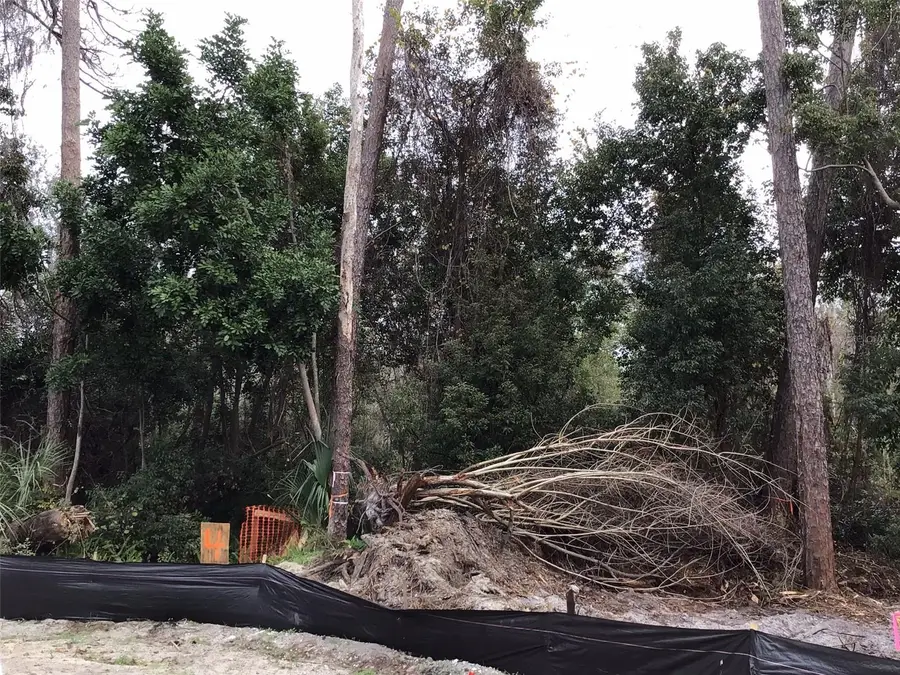 1305 Almaria Court, Palm Harbor, FL 34683 - Image #3