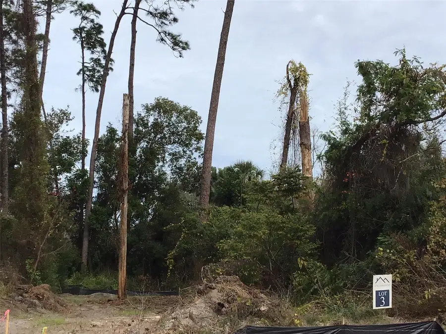 1299 Almaria Court, Palm Harbor, FL 34683 - Image #3