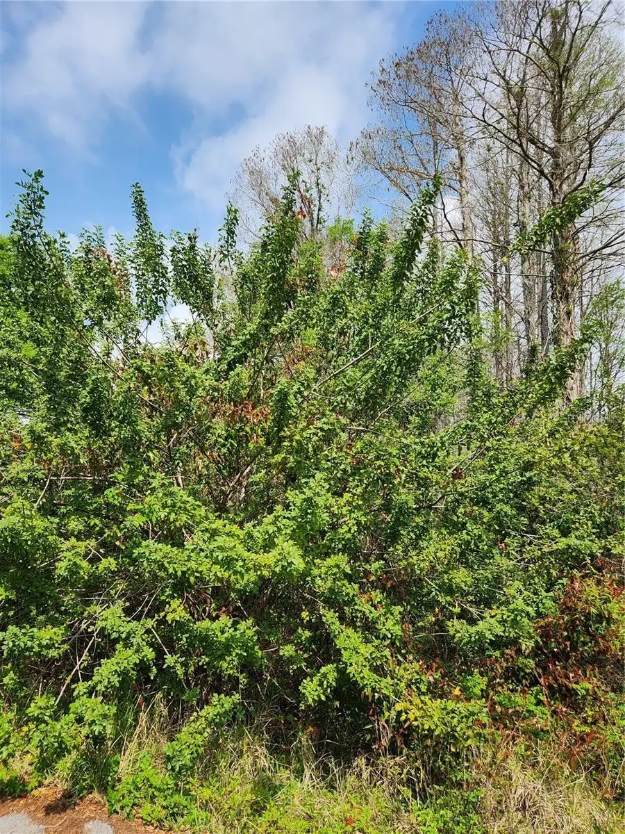 9855 Fulton Avenue, Hudson, FL 34667 - Image #2