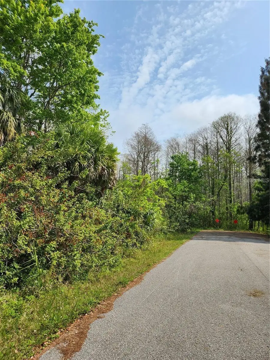 9855 Fulton Avenue, Hudson, FL 34667 - Image #3