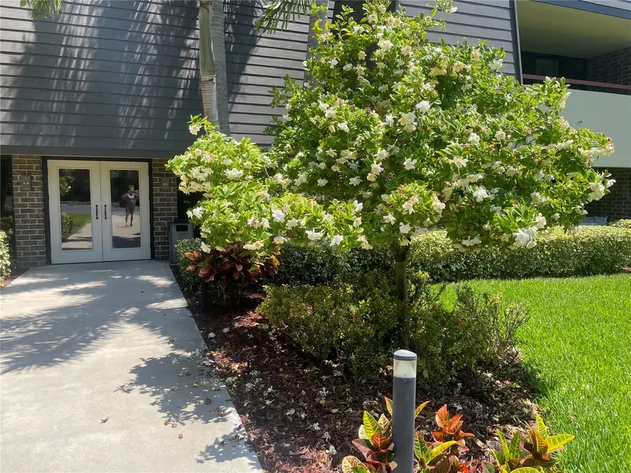 36750 Us Highway 19 N #15-310, Palm Harbor, FL 34684 - Image #3