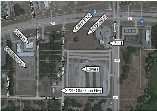 2239 Old Gunn Highway, ODESSA, FL 33556