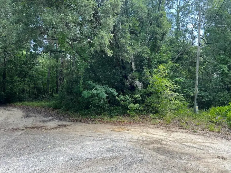 10013 N Holyoak Terrace, Dunnellon, FL 34433 - Image #2