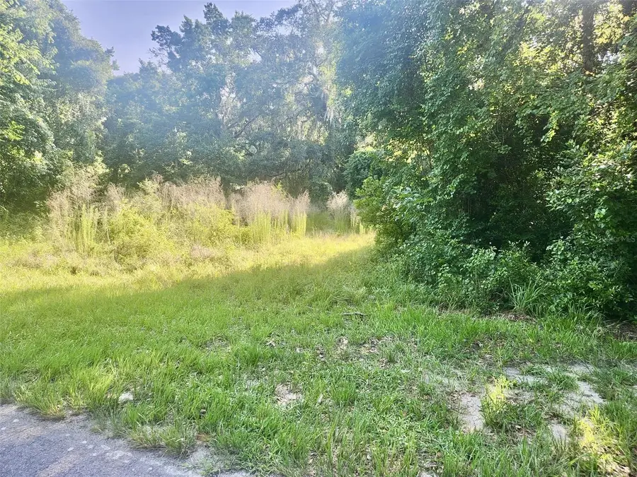 6518 S Withlapopka Drive, Floral City, FL 34436 - Image #2