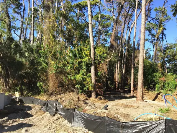 1289 Almaria Court, PALM HARBOR, FL 34683