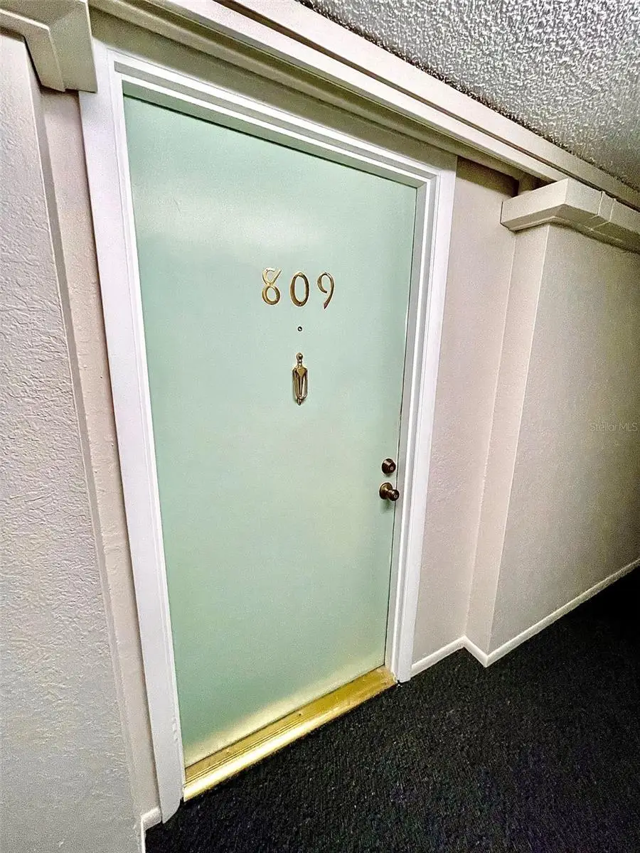 255 Dolphin Point #809, Clearwater, FL 33767 - Image #2