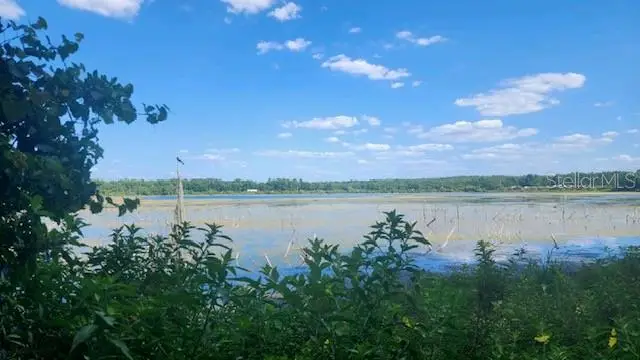 17700 Lake Iola Road, Dade City, FL 33523 - Image #2