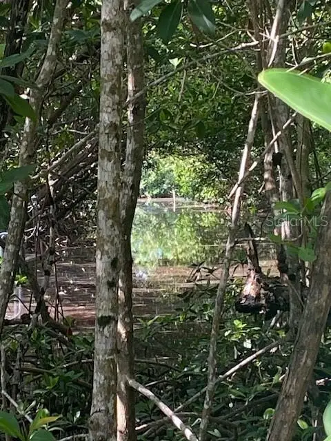 78 Otter Avenue, Everglades City, FL 34139 - Image #2