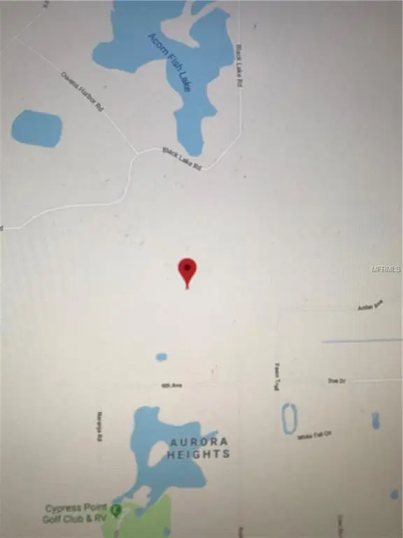 Eucalyptus Paper Lane, OSTEEN, FL 32764