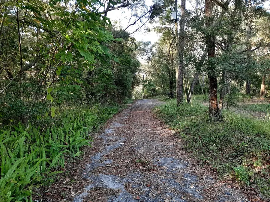 Blue Ridge Avenue, Orange City, FL 32763 - Image #3