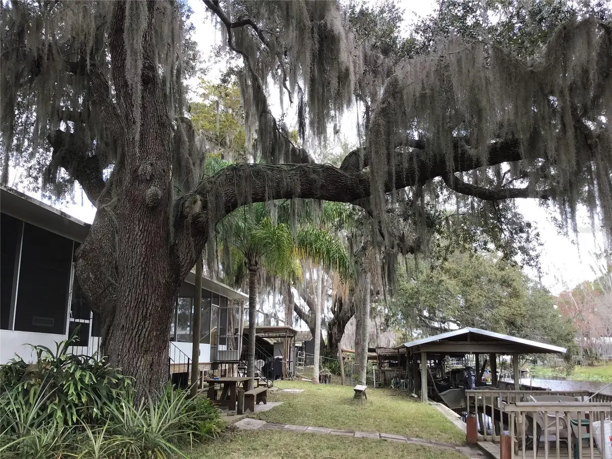 1659 Bass Avenue, Seville, FL 32190 - Image #1