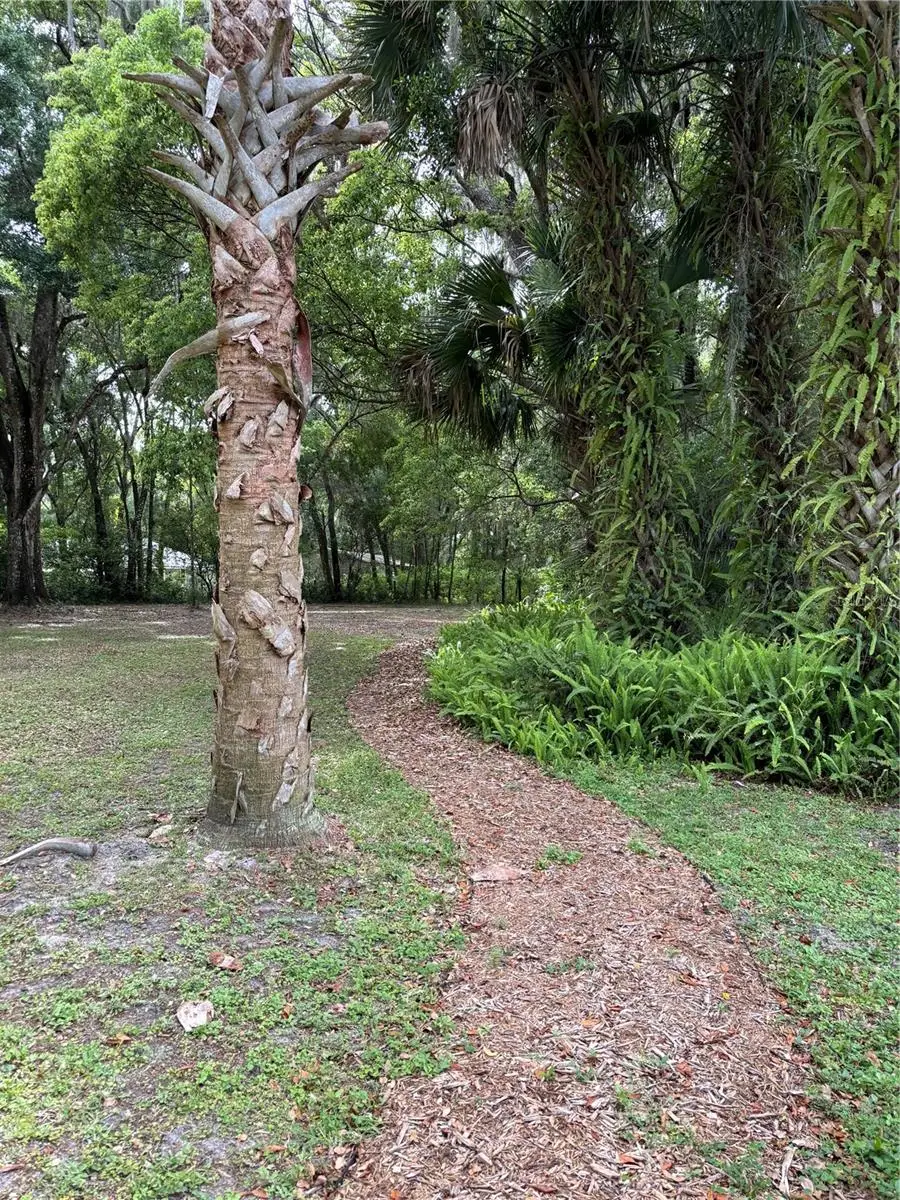 Grand Avenue, Deland, FL 32720 - #3