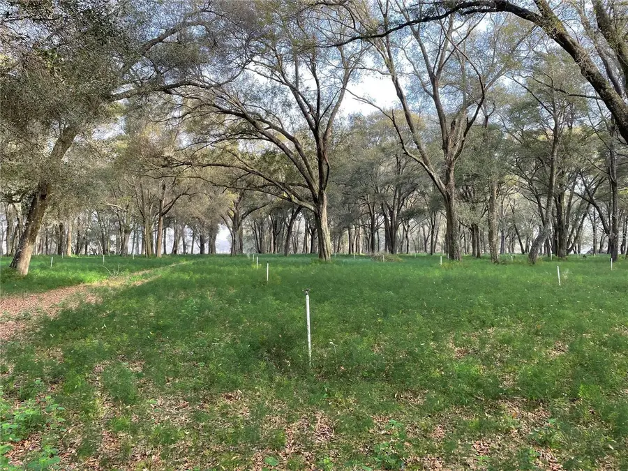 1494 Tilly Byrd Road, Seville, FL 32190 - Image #2