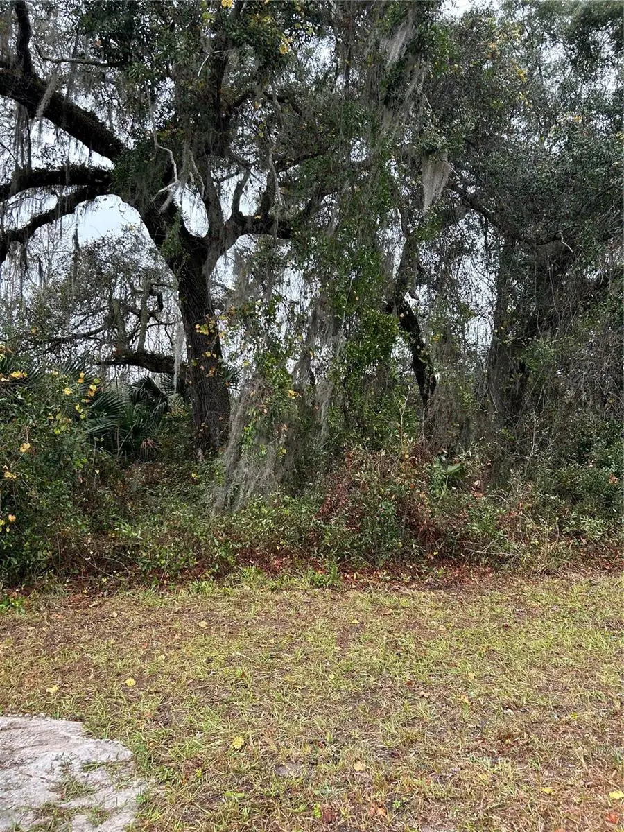 Emporia Road, Pierson, FL 32180 - Image #2