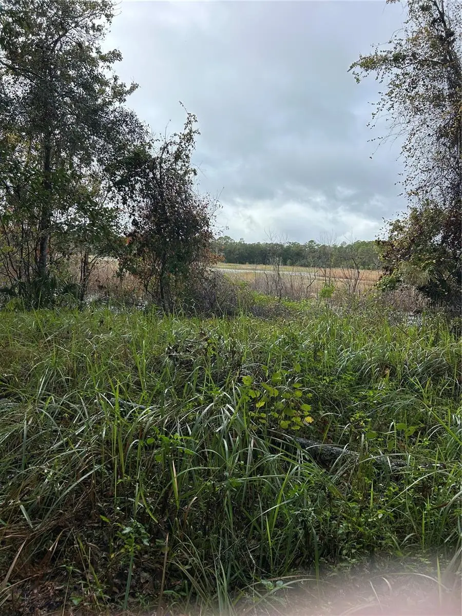 Emporia Road, Pierson, FL 32180 - Image #3