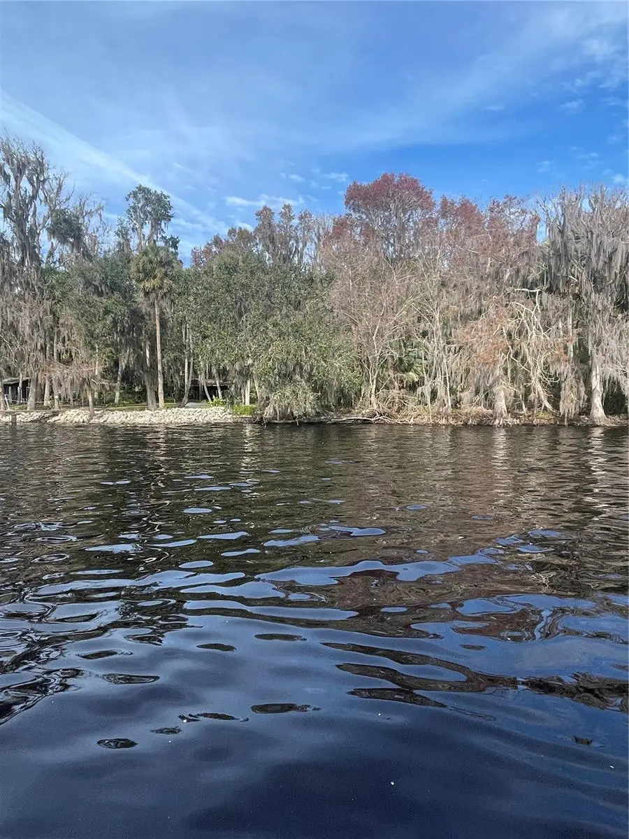 233 Stella Road, Georgetown, FL 32139 - Image #2