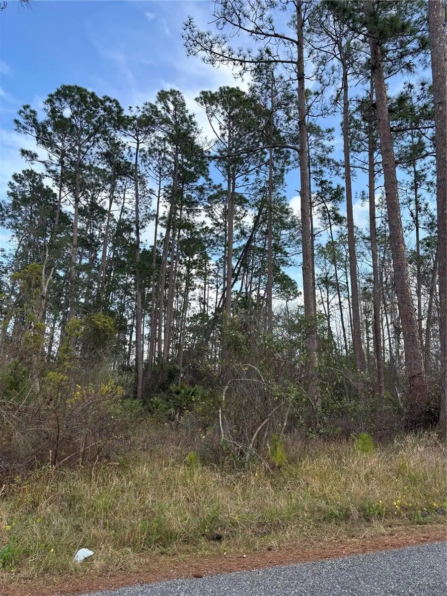 5th Avenue, Deland, FL 32724 - Image #2