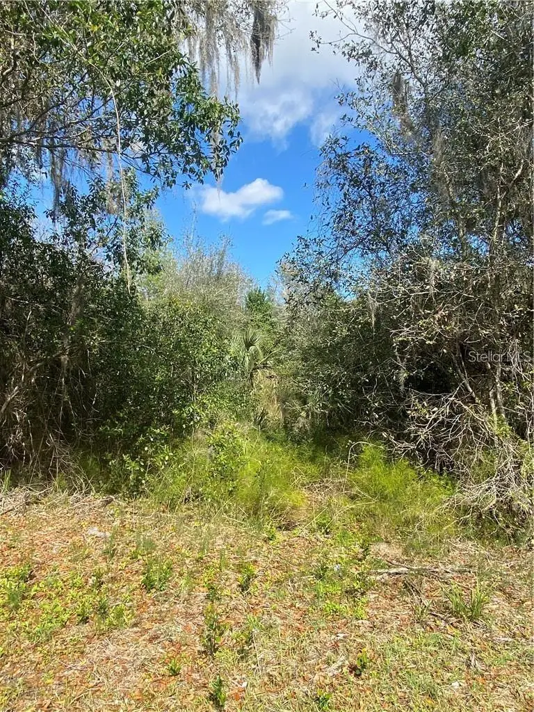 W Beresford Road, Deland, FL 32720 - Image #2