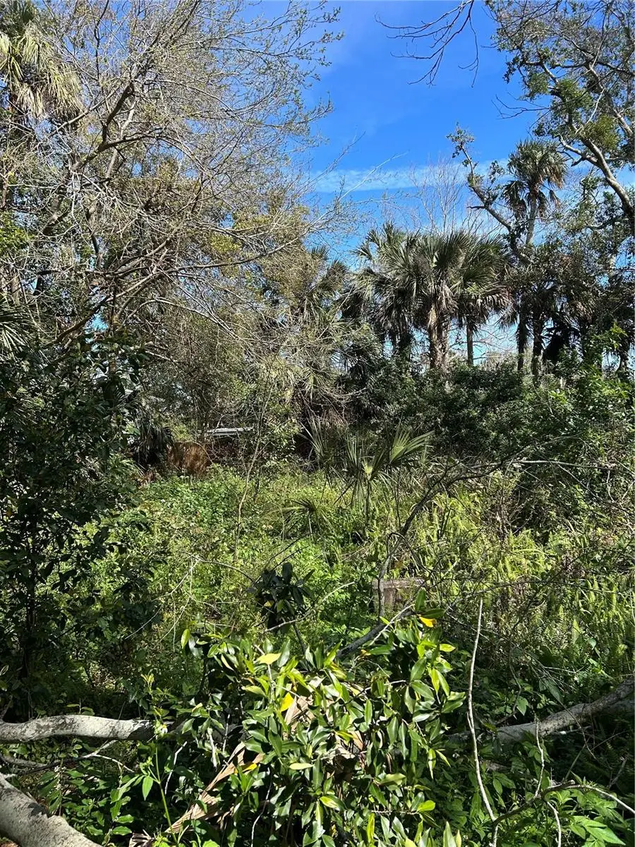 1127 Martha Drive, Daytona Beach, FL 32114 - Image #3