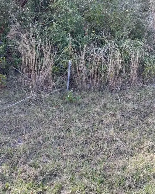 Victoria Parc Avenue, Orange City, FL 32763 - Image #3