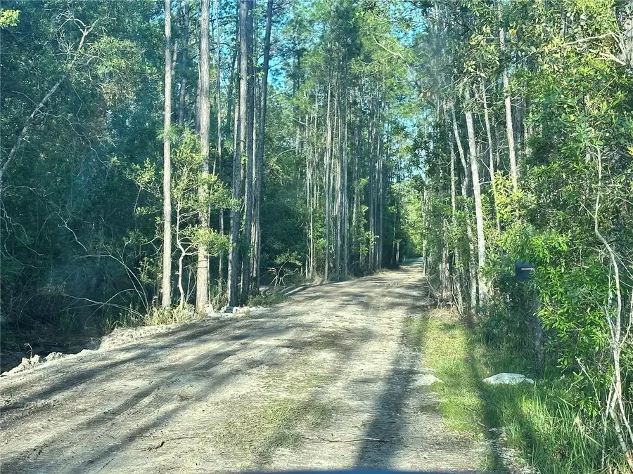 3789 Pine Pitch Court, Ormond Beach, FL 32174 - Image #3