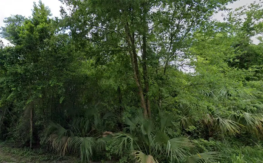 10th Street, Orange City, FL 32763 - Image #3