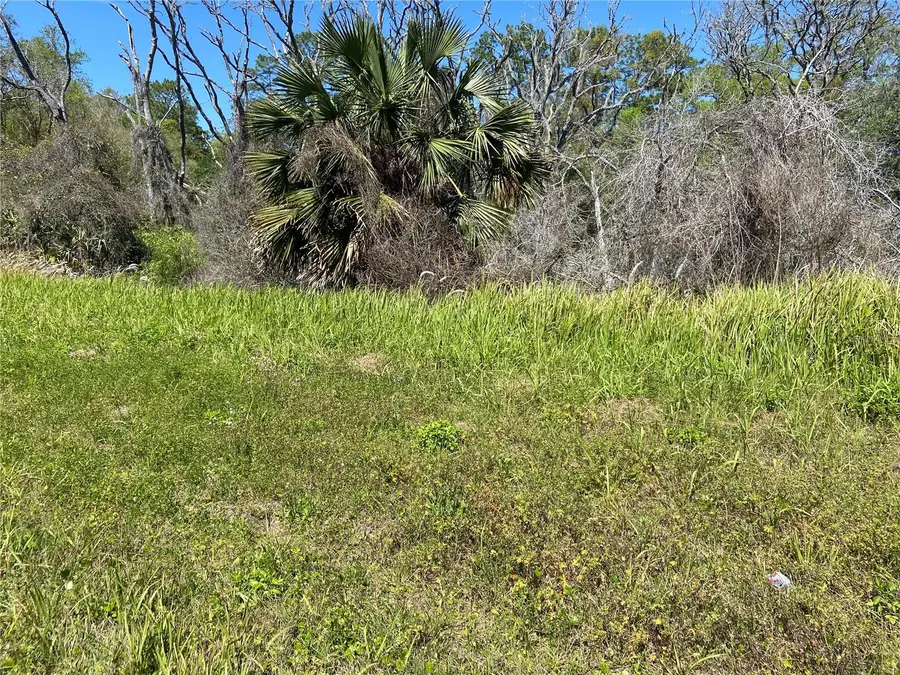 Parcel 27 15 30 00 00 0200, De Leon Springs, FL 32130 - Image #2