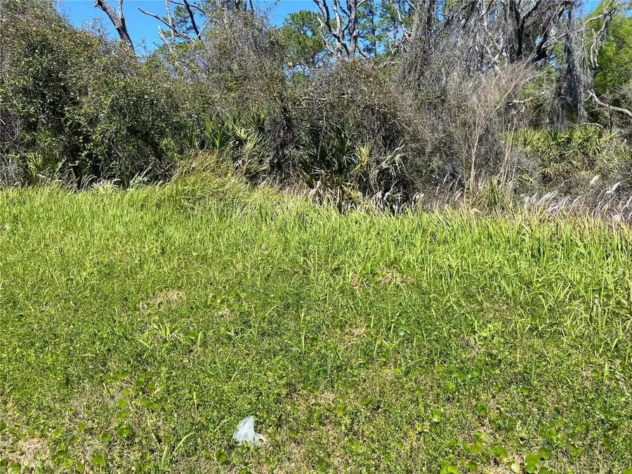 Parcel 27 15 30 00 00 0200, De Leon Springs, FL 32130 - #3