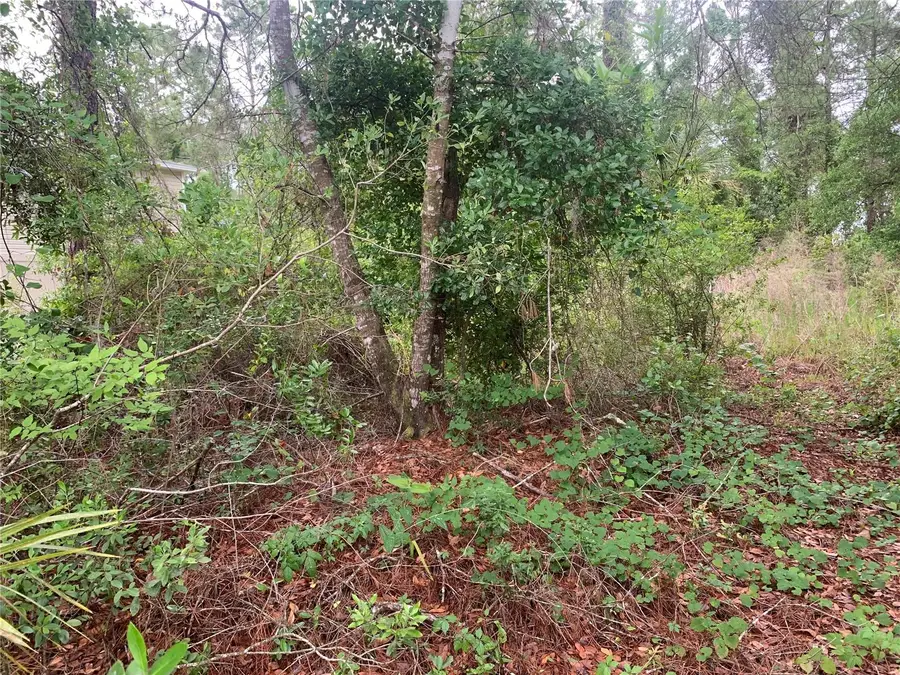 525 Live Oak Loop, Crescent City, FL 32112 - Image #3