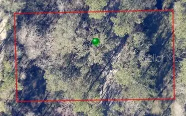 0 Deland, Deland, FL 32724 - Image #2