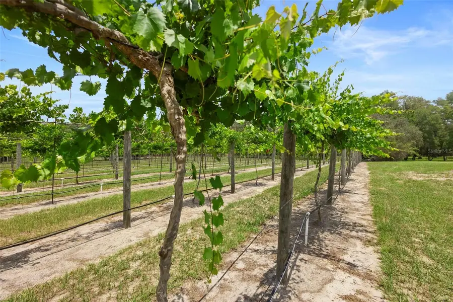 1056 Reynolds Road, De Leon Springs, FL 32130 - Image #2