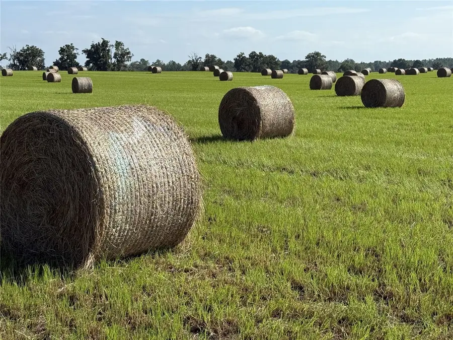 NW 72nd Place, Bell, FL 32619 - Image #2