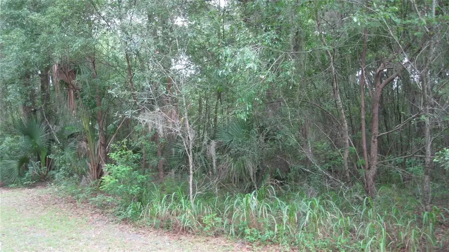 Oak Valley Drive, Deland, FL 32720 - Image #3