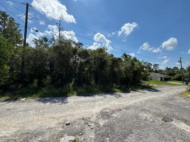 Walnut Avenue, Orange City, FL 32763 - Image #1