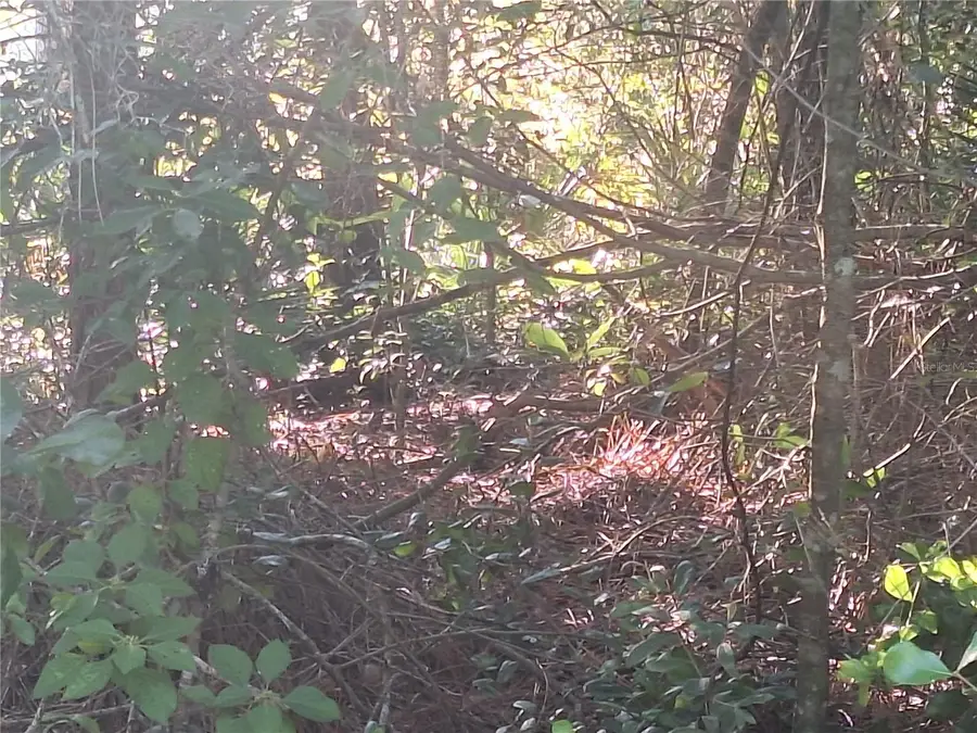 2743 Kingsdale Drive, Deltona, FL 32738 - Image #2