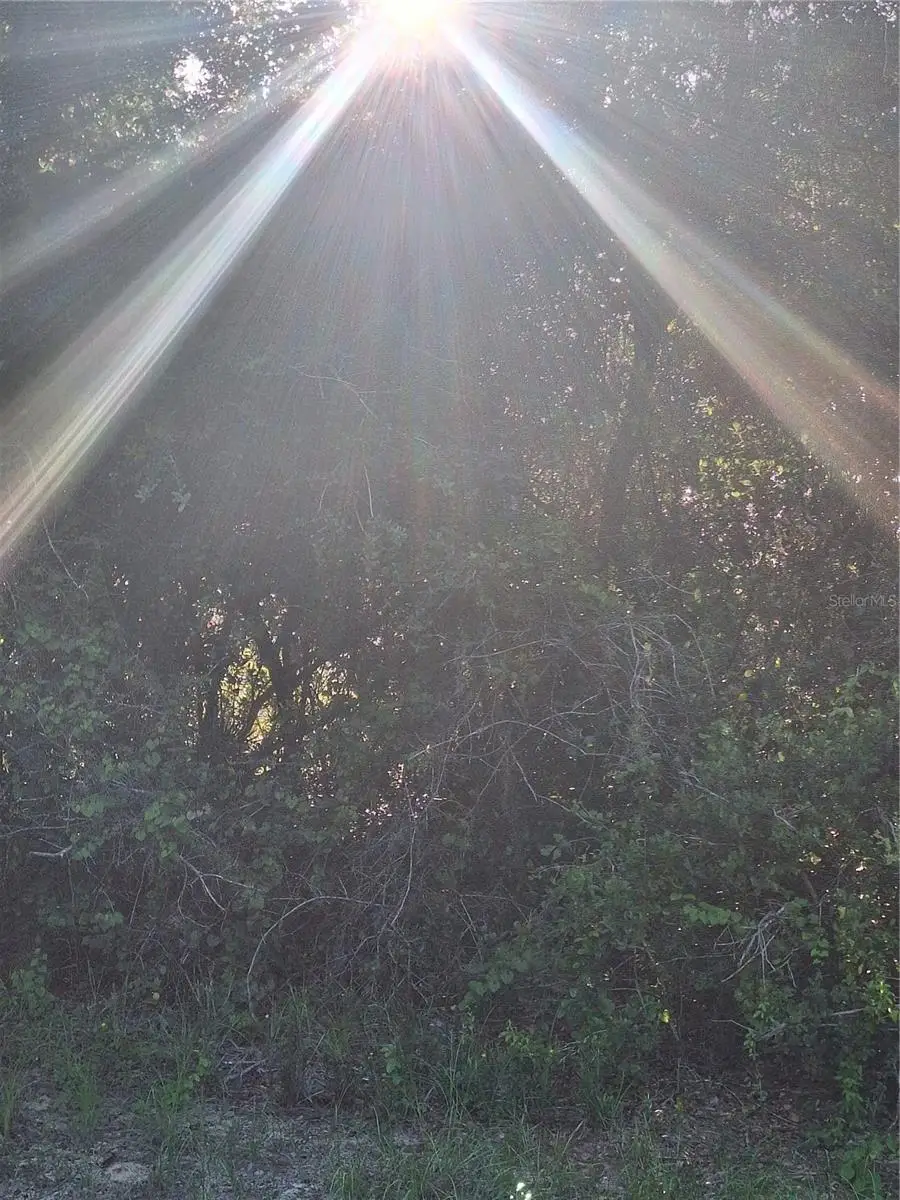 2743 Kingsdale Drive, Deltona, FL 32738 - Image #3