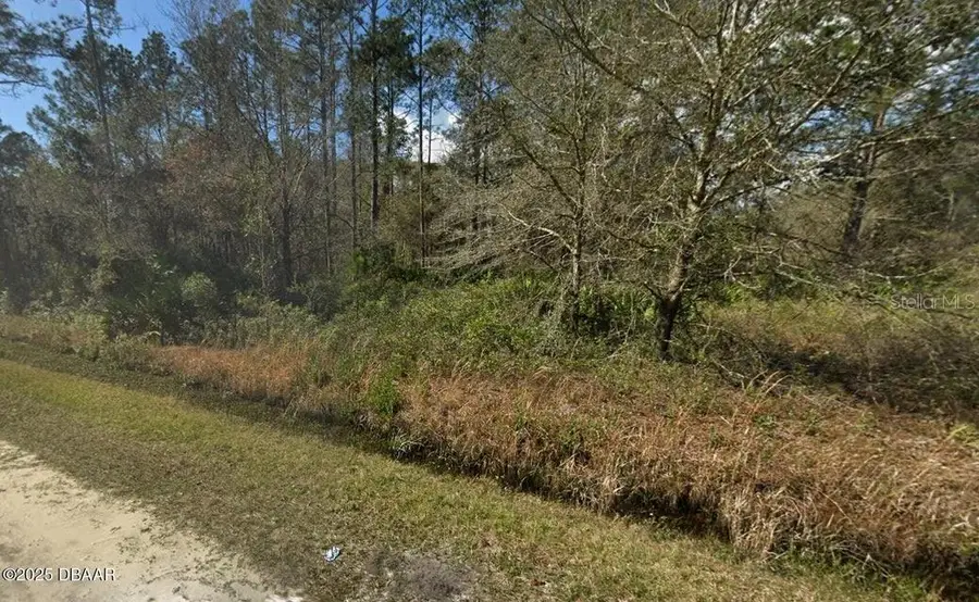 10675 Weatherby Avenue, Hastings, FL 32145 - Image #2