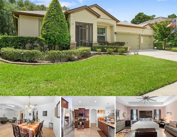 541 Morgan Wood Drive, DELAND, FL 32724