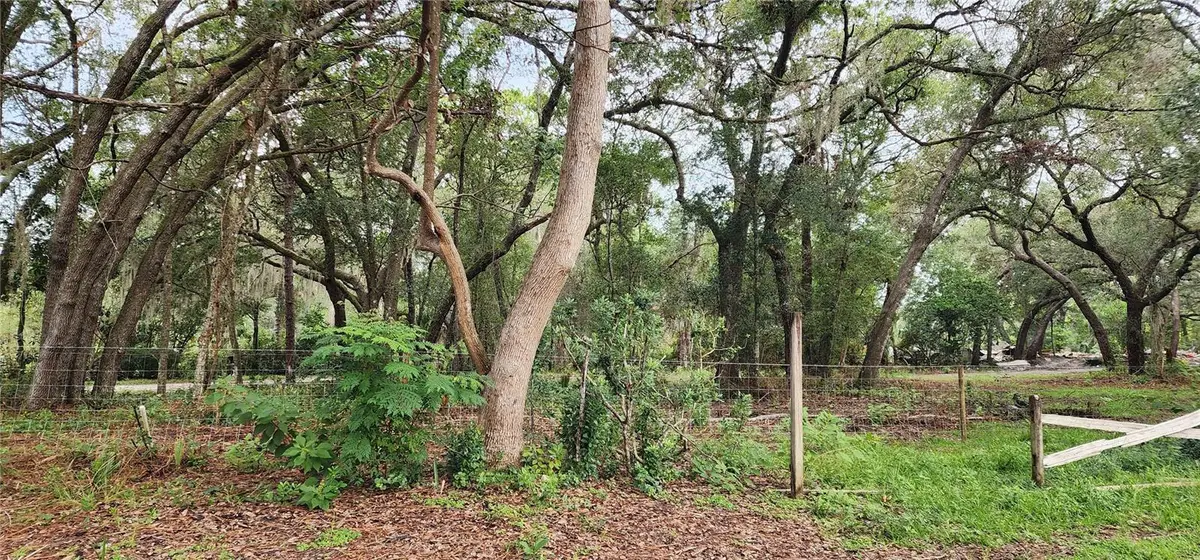 711 Sunset Avenue, Orange City, FL 32763 - Image #1