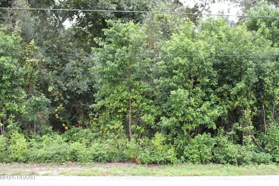 510 Fred Gamble Way, Ormond Beach, FL 32174 - #2