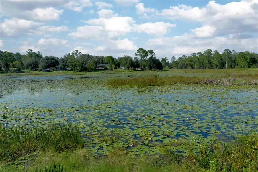 31725 Spruce Drive, Eustis, FL 32727 - Image #3