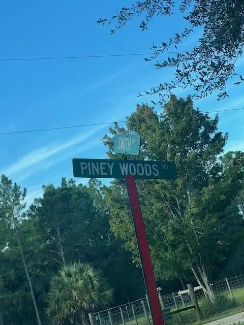 1117 Piney Woods Trail, Osteen, FL 32764 - Image #3