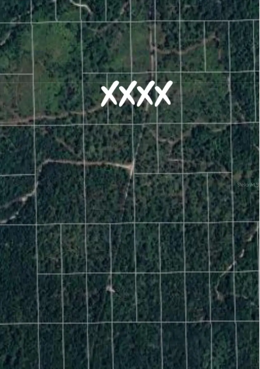 No Name, Deland, FL 32724 - Image #3