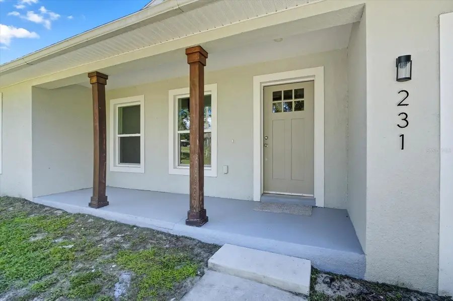 231 Chestnut Avenue, Orange City, FL 32763 - Image #3