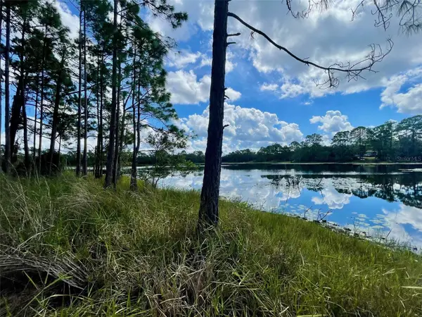 42318 W Lake Road, DELAND, FL 32720