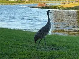 1143 E Fowler Drive, Deltona, FL 32725 - Image #2